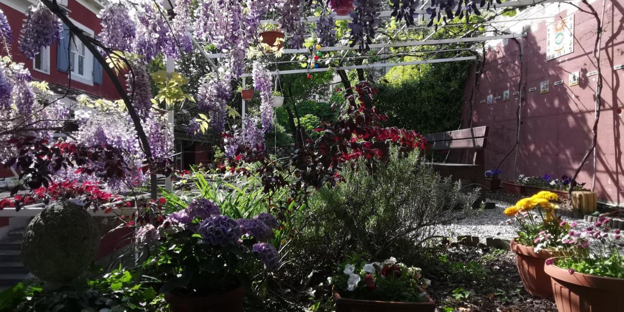 Charming Apartment In A 19Th Century Villa ترييستي المظهر الخارجي الصورة